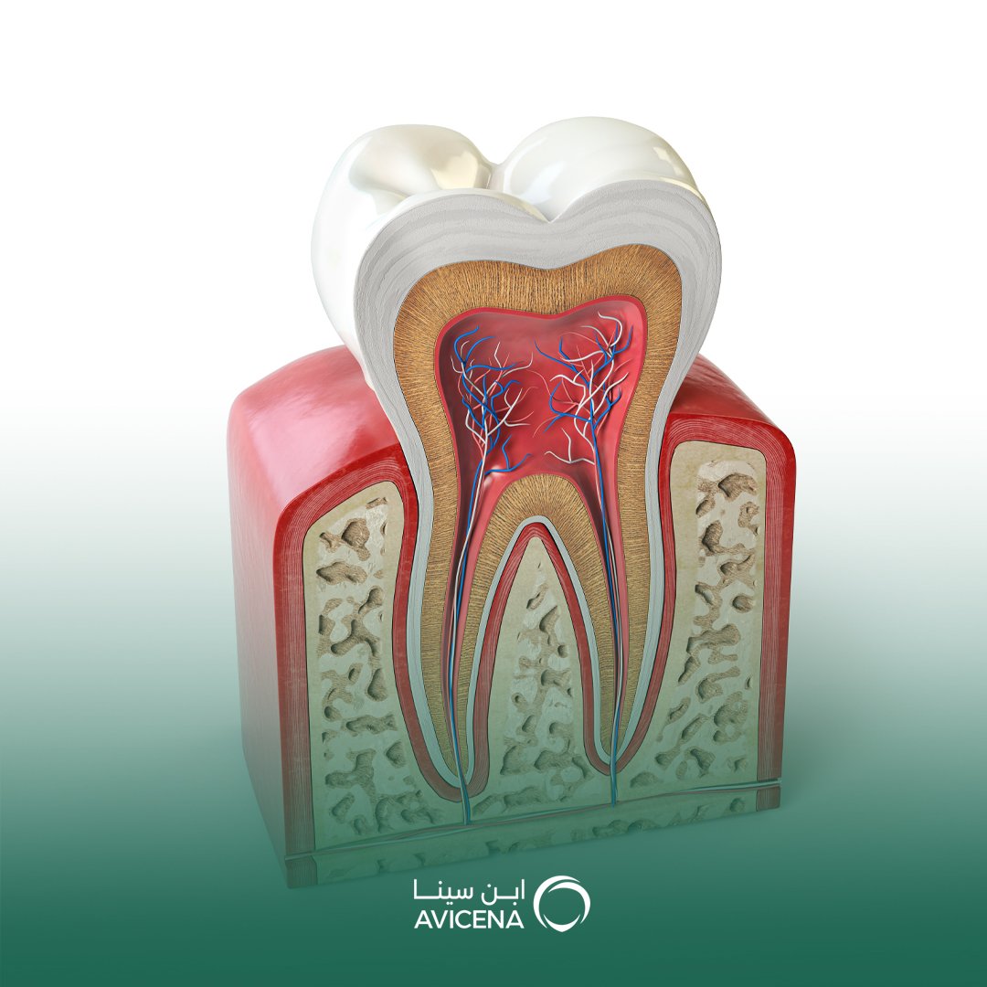 افضل عيادة لعلاج عصب الاسنان في الخبر محتوى